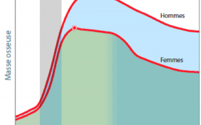 L’activité physique pour amener un gain de la masse osseuse et maintenir celle-ci dans le but de prévenir l’ostéoporose